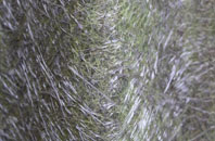 Gallt Y Foel fibreglass roof work